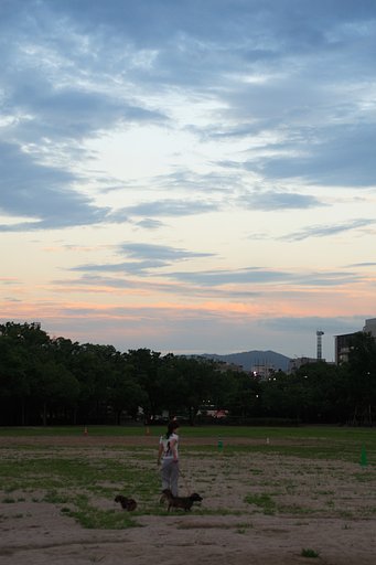 夏の夕焼け雲