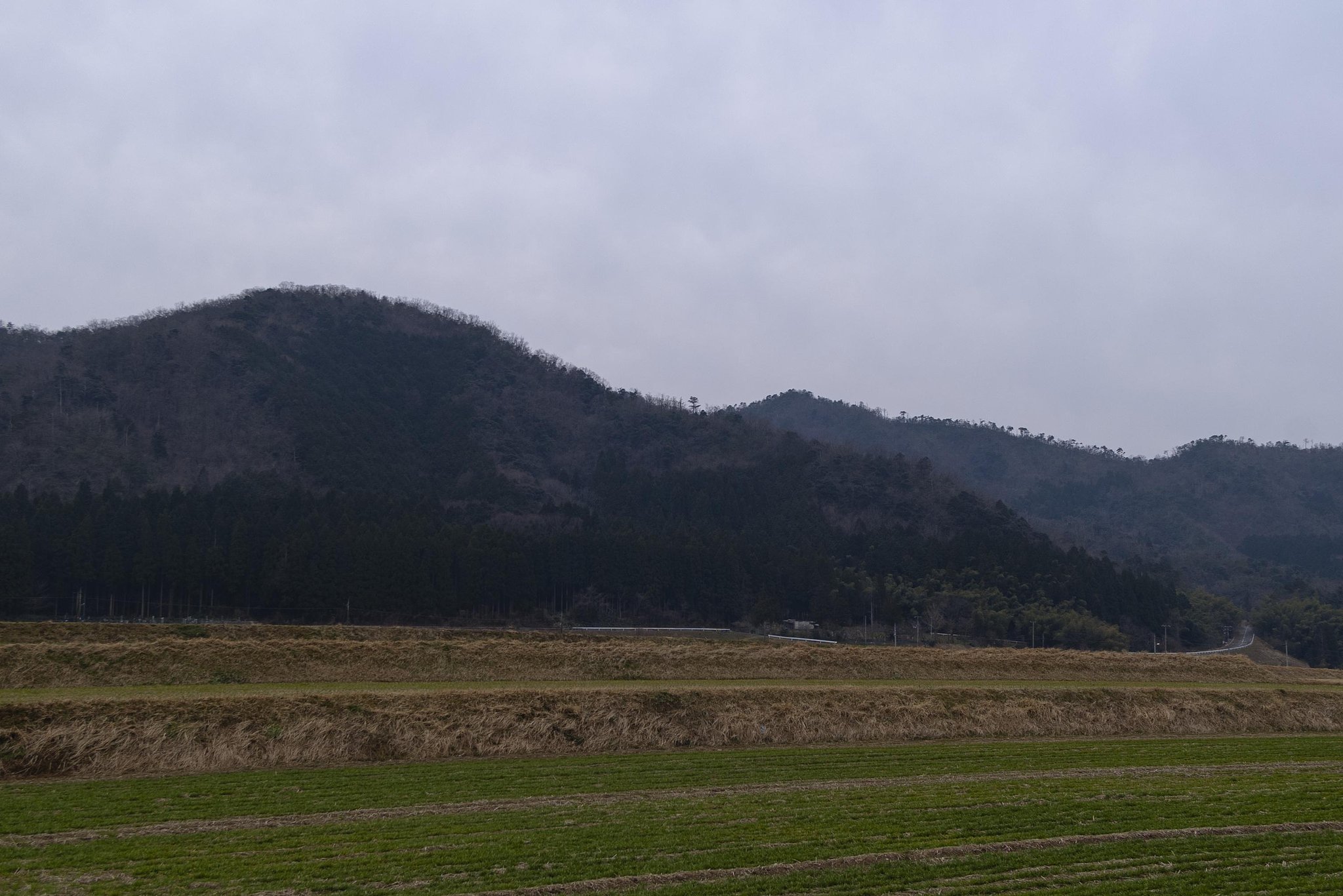 午後は曇り空です。