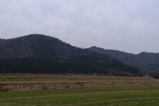 午後は曇り空です。
