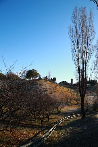 明石の梅園