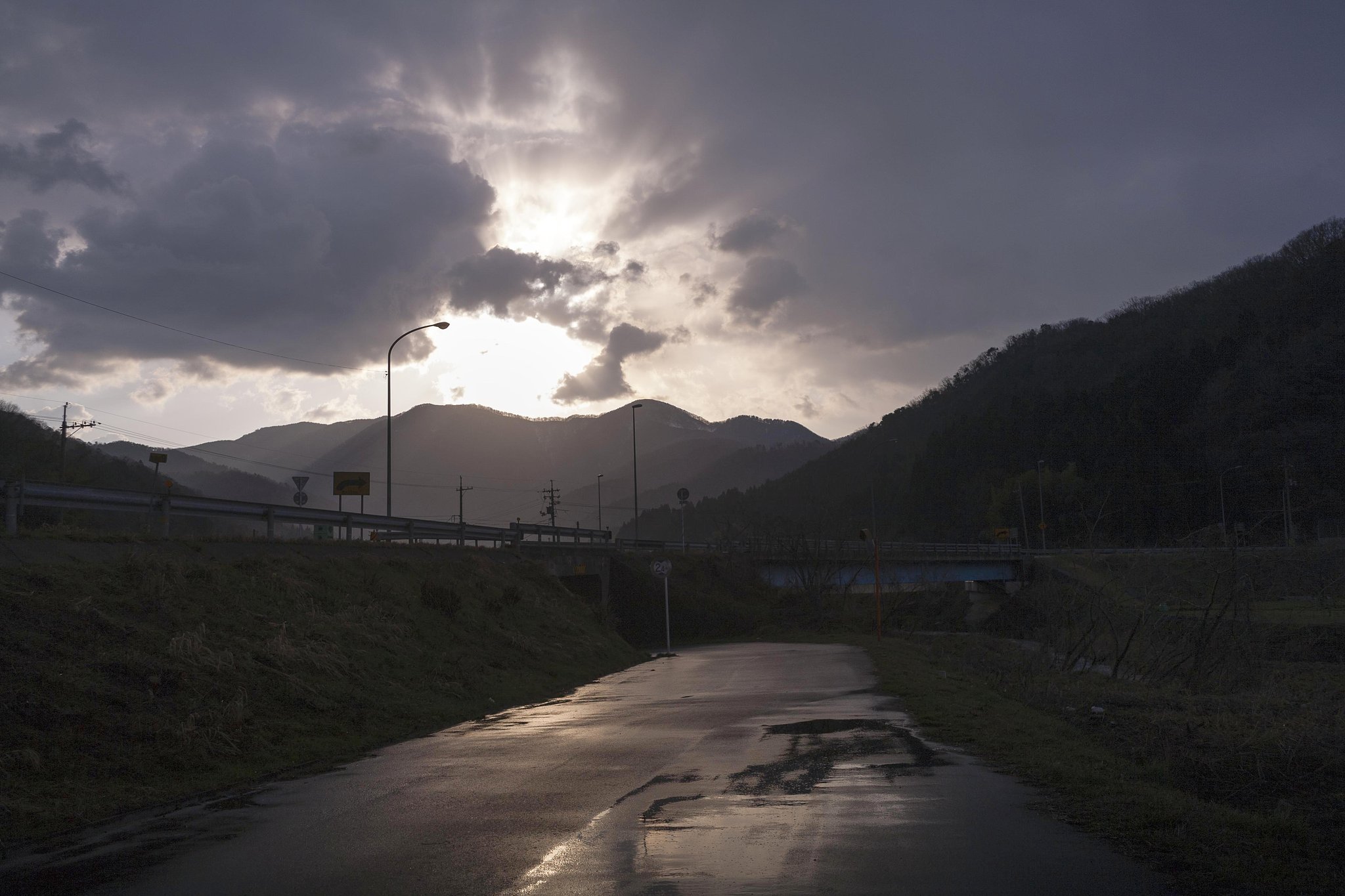 雨上がりの朝！