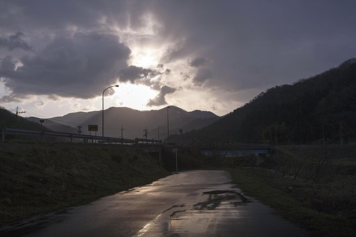 雨上がりの朝！
