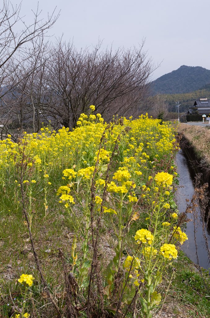 用水路