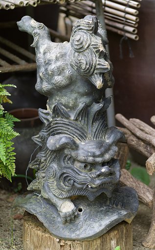 5月8日の写真