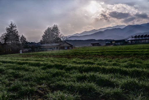 Green Days