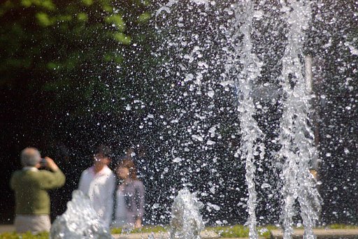 水辺の光