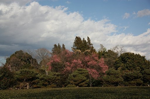 春っぽい