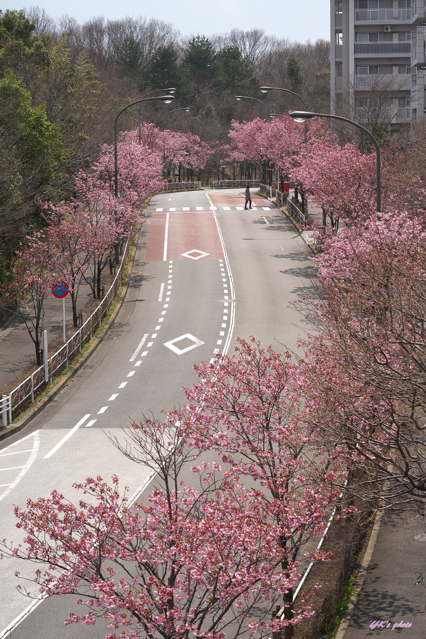 FE100mm F2.8 STF GM OSS
