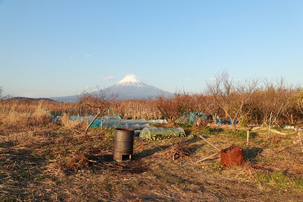 富士川河川敷有効利用