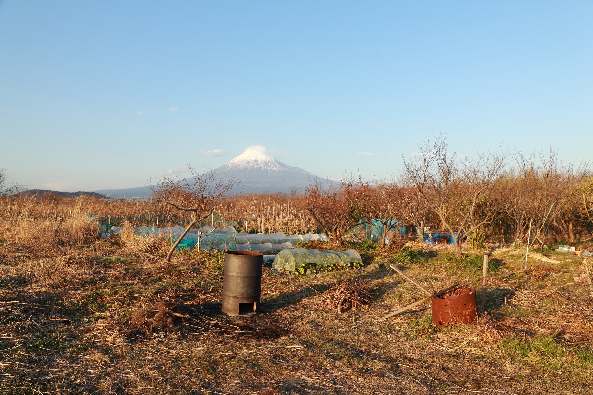 富士川河川敷有効利用