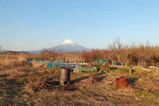 富士川河川敷有効利用