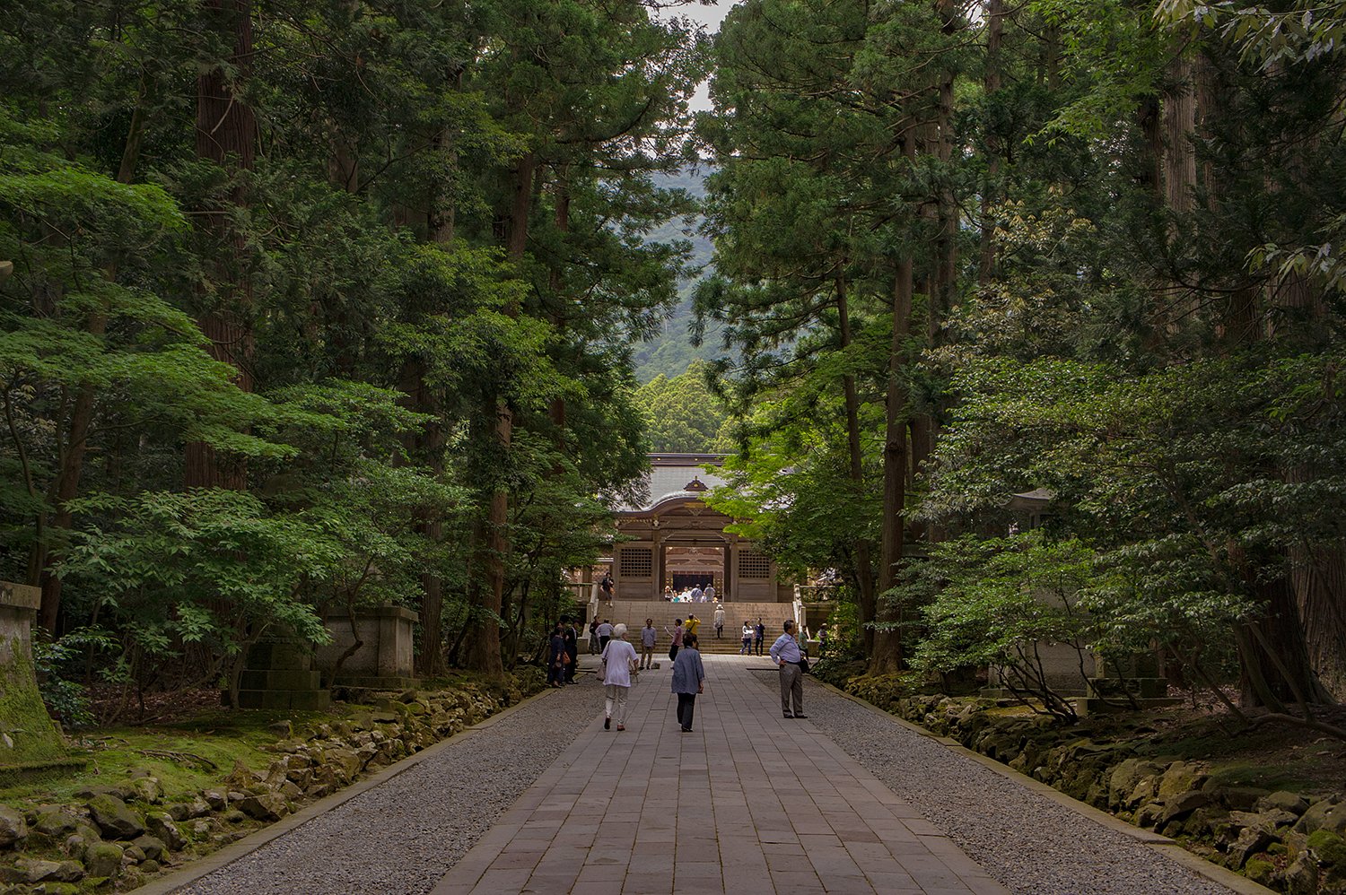 【寺社百景】参道
