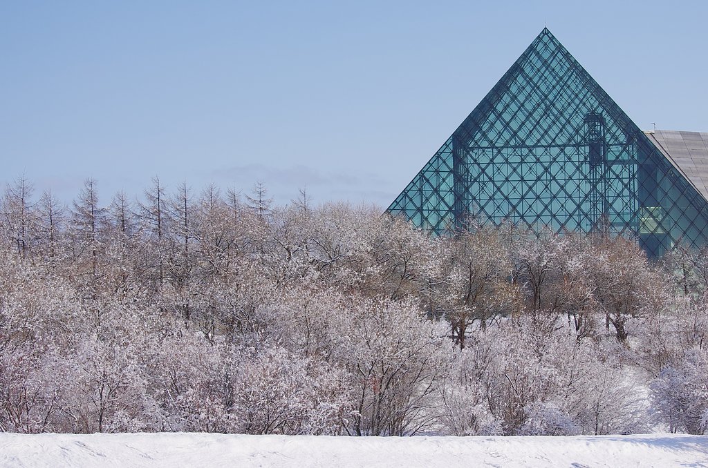 雪桜満開宣言？