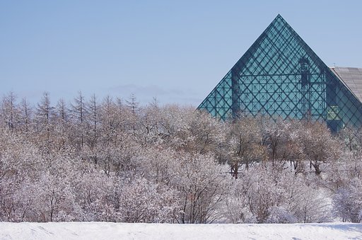 雪桜満開宣言？