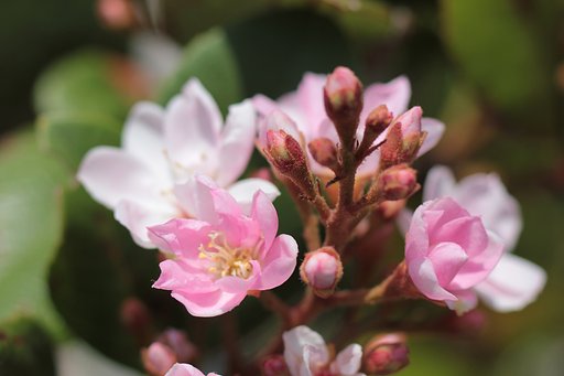 5月10日の写真