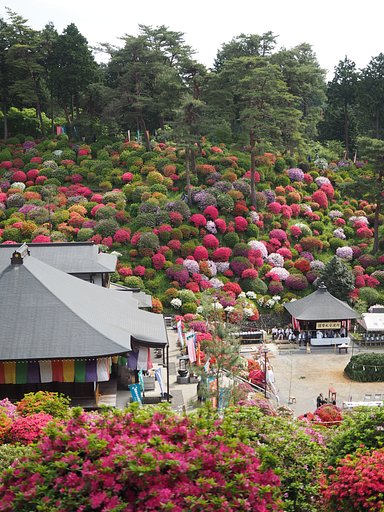 塩船観音・例大祭(開始前)