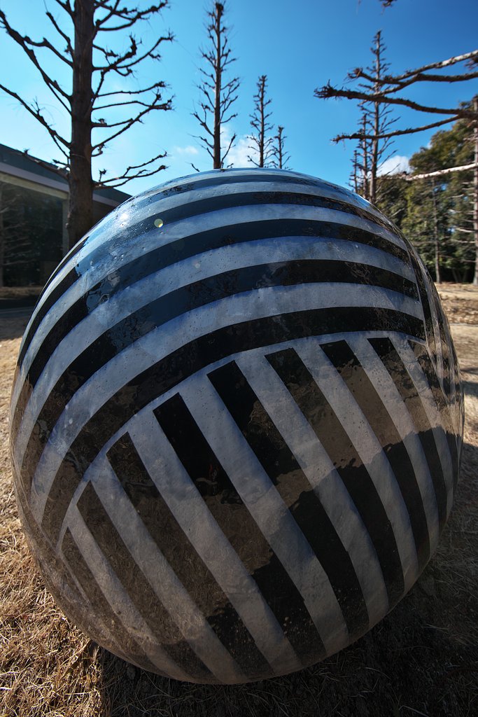 WIDE　DANGO