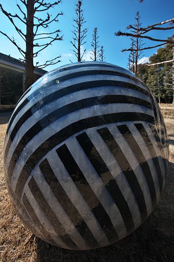 WIDE　DANGO