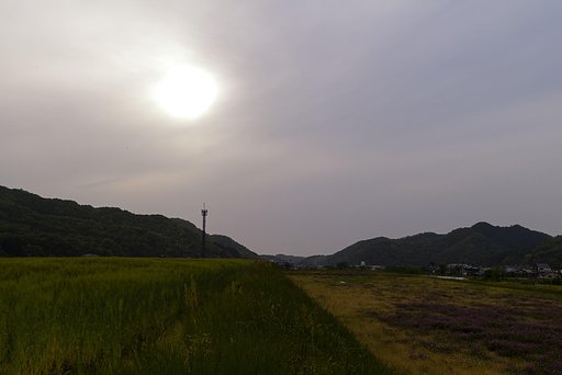 曇り空に黄砂も