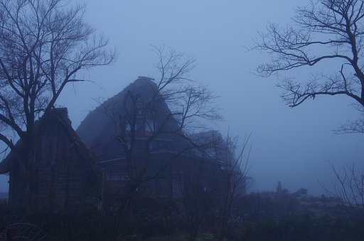 霧の朝