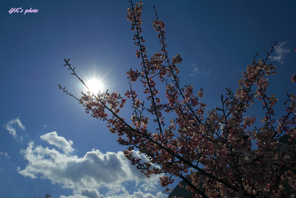 Otus 28mm F1.4 ZF2