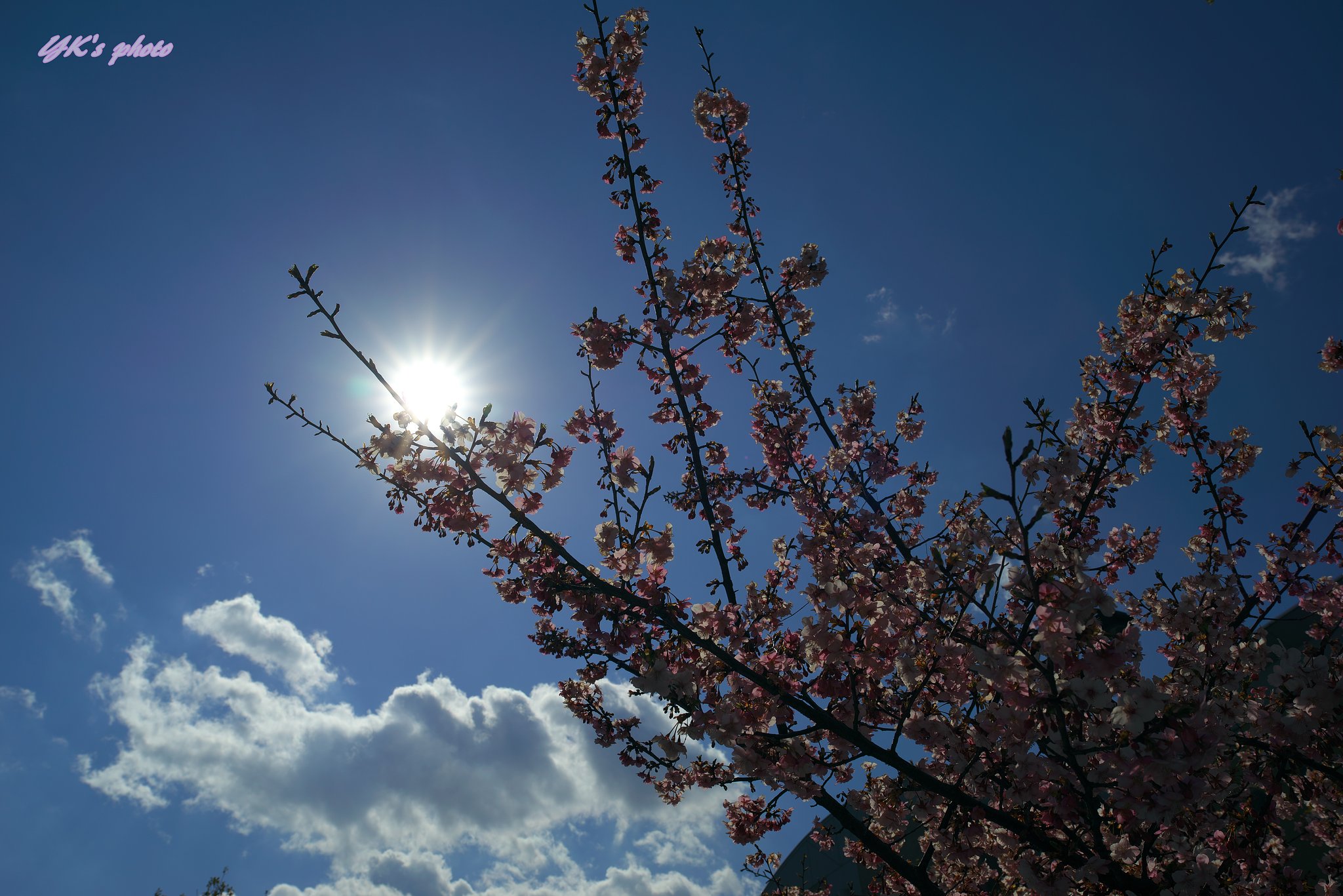 Otus 28mm F1.4 ZF2