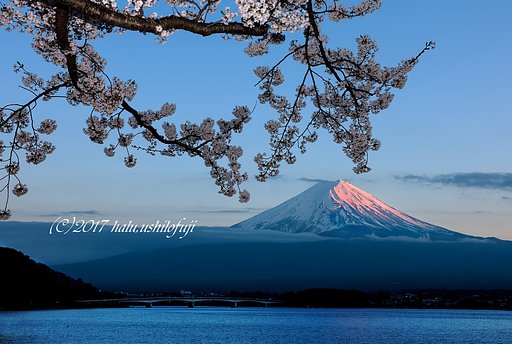 ご褒美の〆