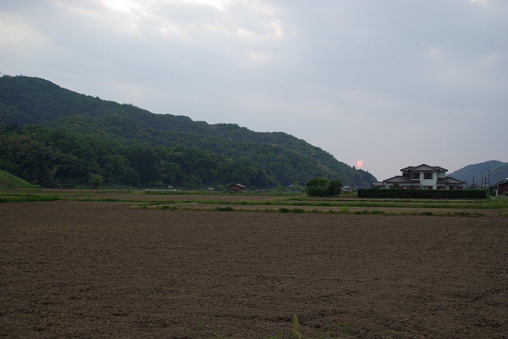 夕焼けに！