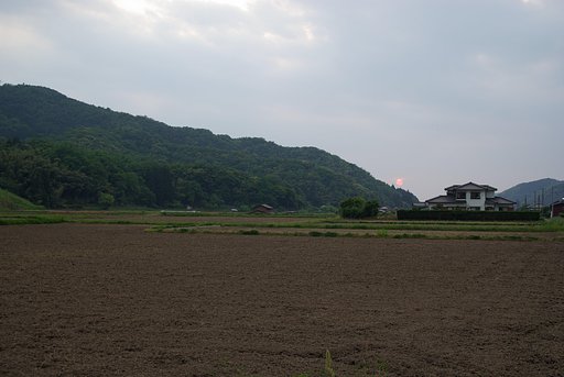 夕焼けに！