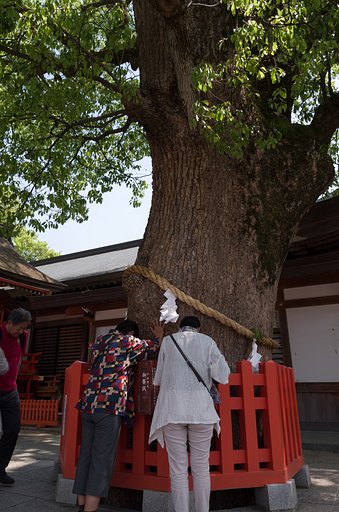 霊験