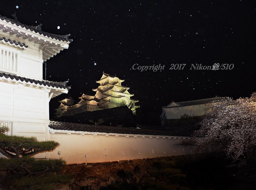 雪桜