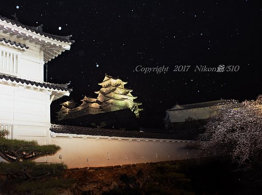 雪桜