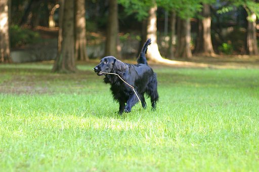 白飛びなんとかする方法は