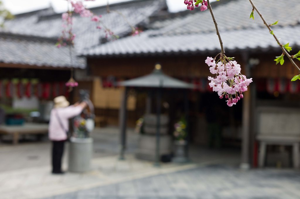 【寺社百景】苦をとって！