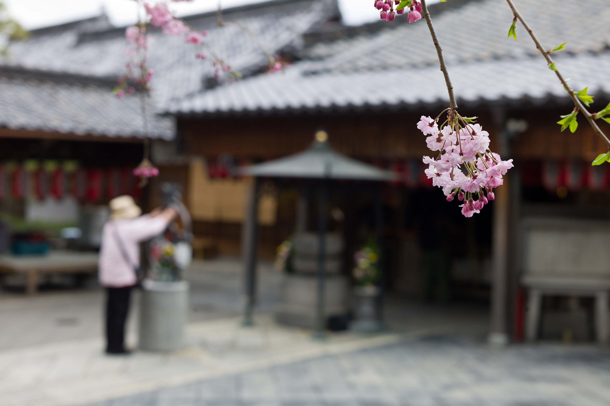 【寺社百景】苦をとって！