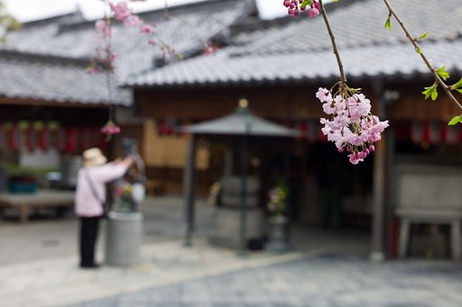 【寺社百景】苦をとって！