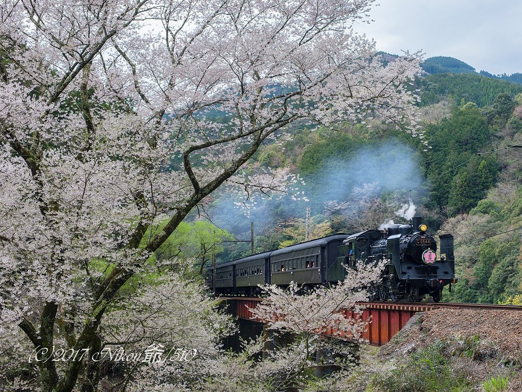 煙る汽笛