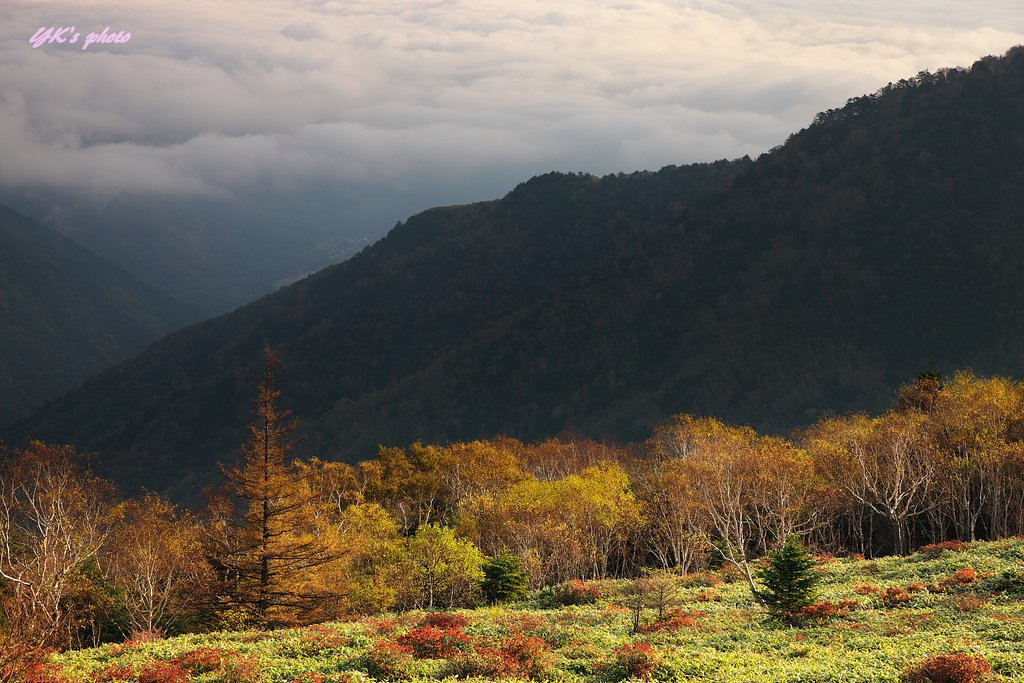 EF 24-105mm F4L IS