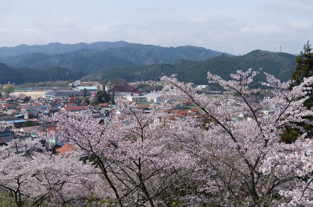 山間部