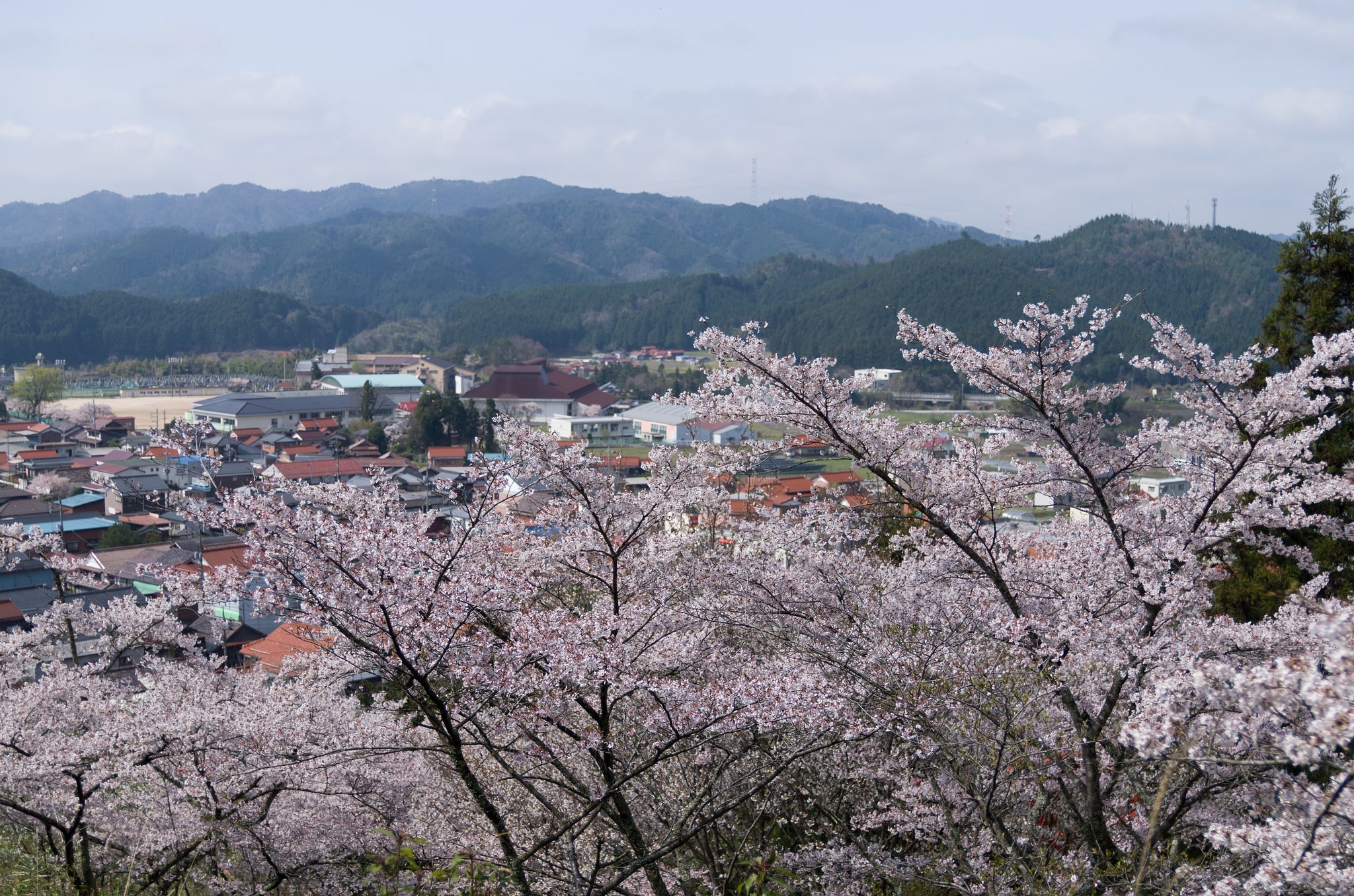 山間部