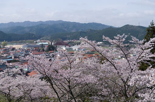山間部