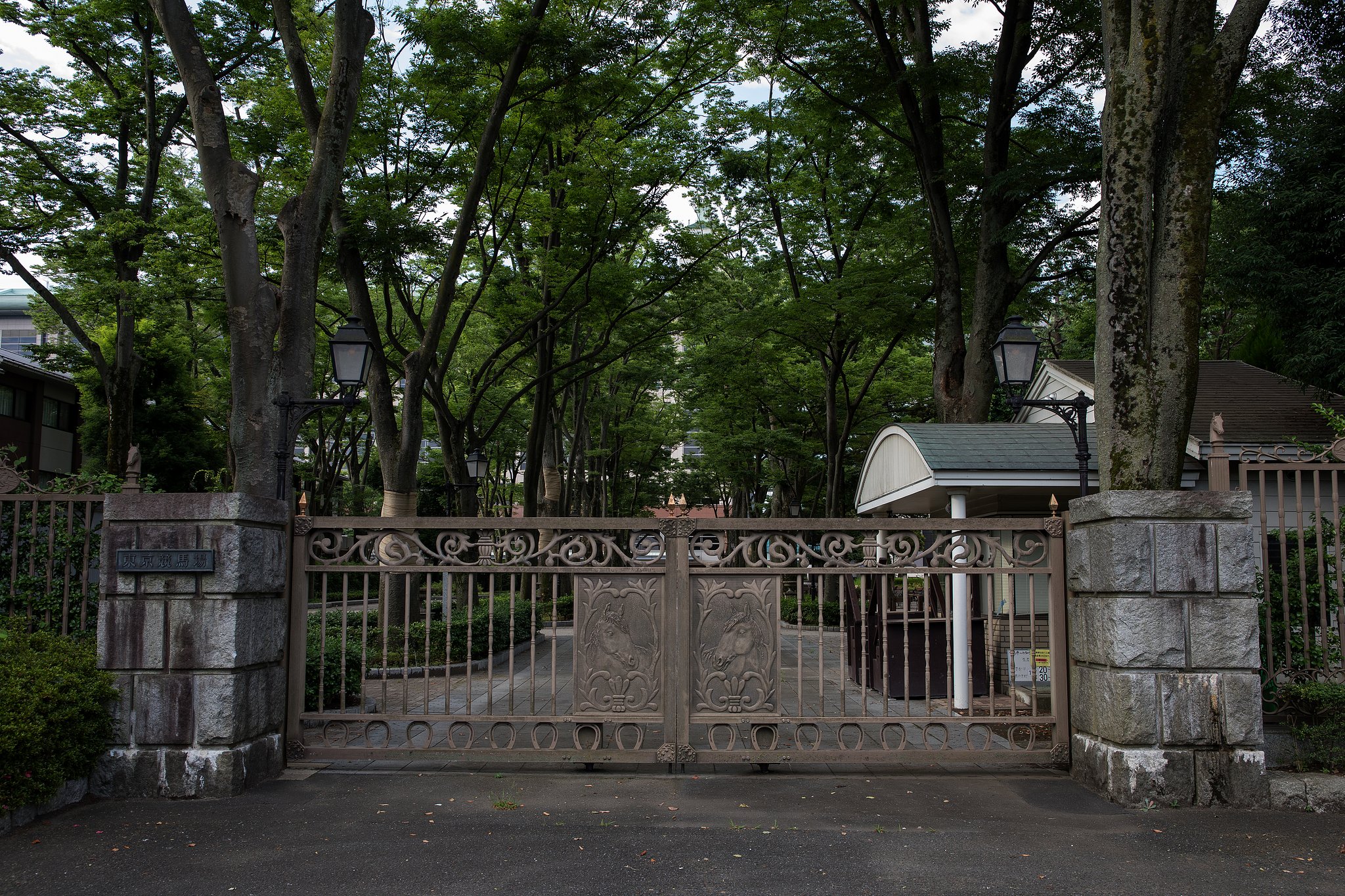 競馬場
