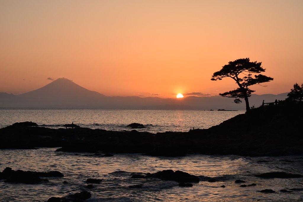 日暮れ