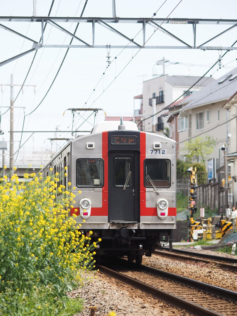 線路際の春～東急池上線２～
