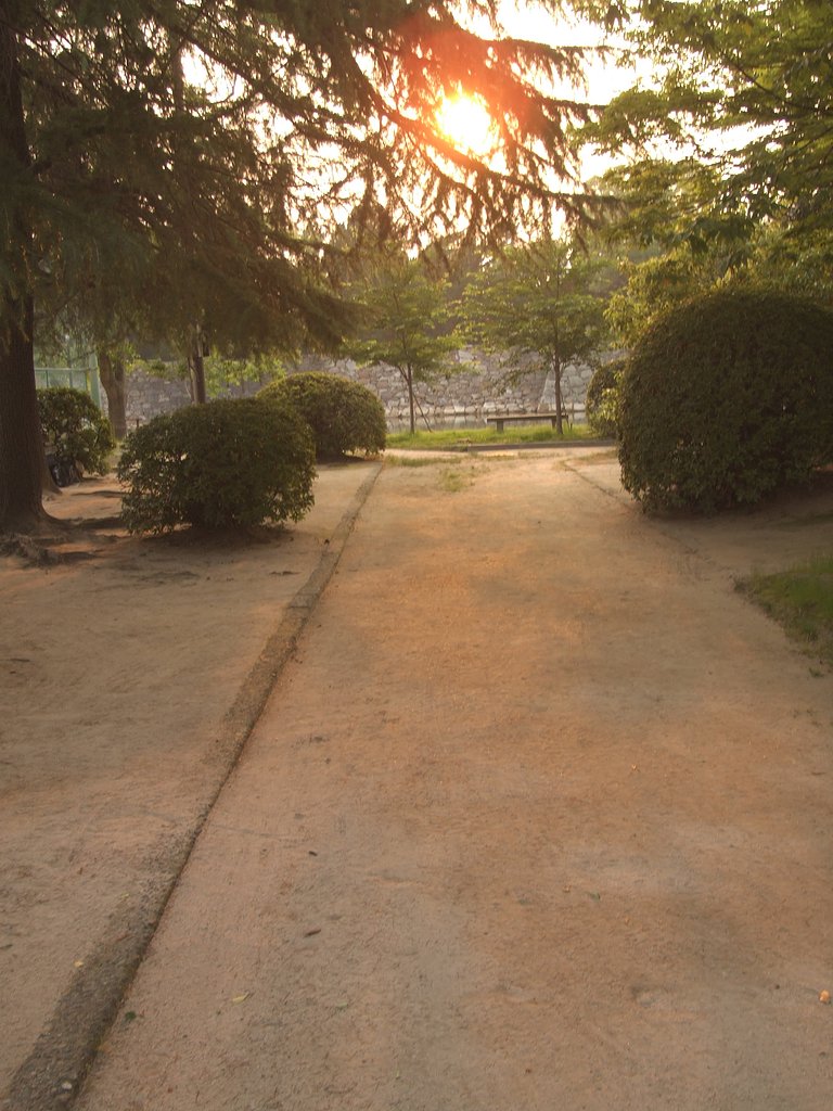 「光」夕日のこぼれる小道
