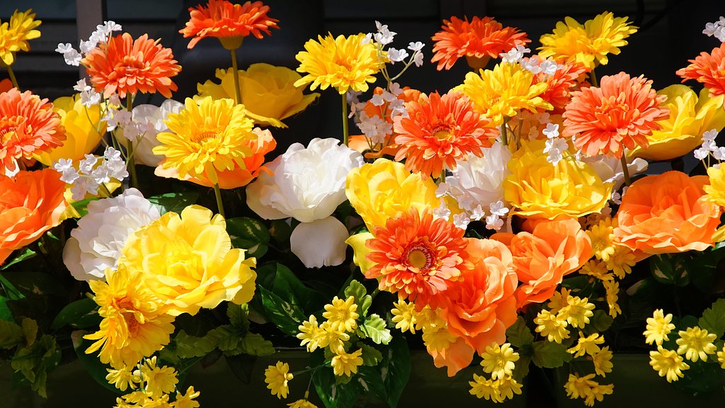 菊・薔薇 スイッチオン