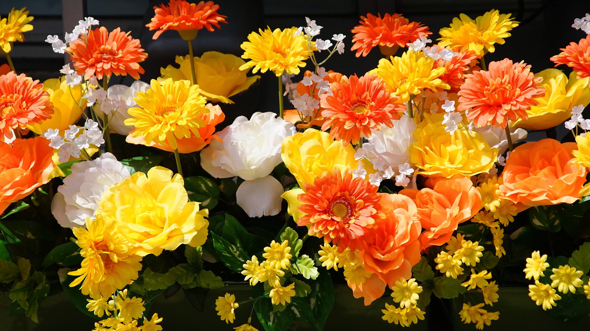 菊・薔薇 スイッチオン