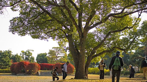 学びの心いつまでも