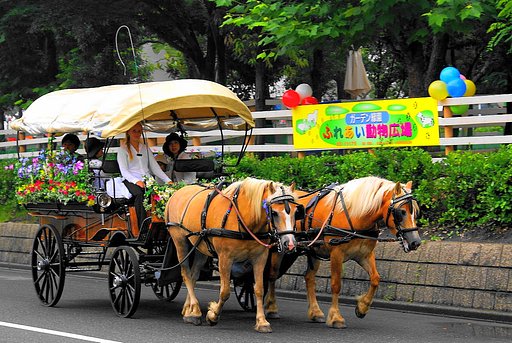 花馬車