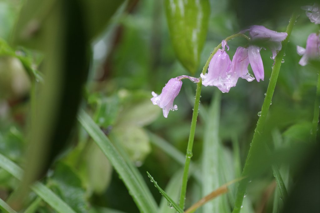 In the rain 2.